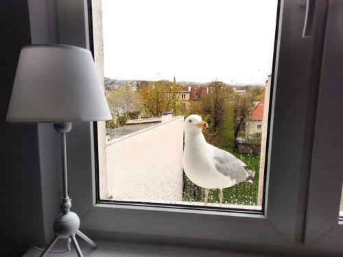 Apartamento Sopociak