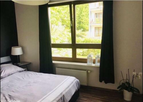 Sopockie Apartamenty Aquarius