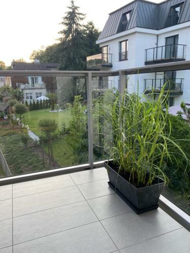 Luxury Apartment Dolny Sopot