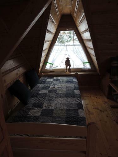 Apartament Suzyw Kicek