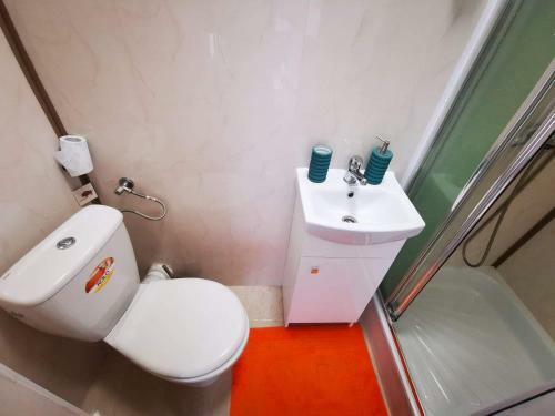 Apartamento Go?cinny Dworek