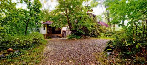 Apartamento Japonicum