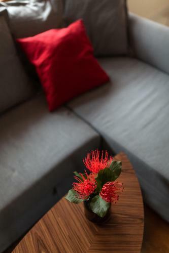 Apartamento Koza Na Strychu
