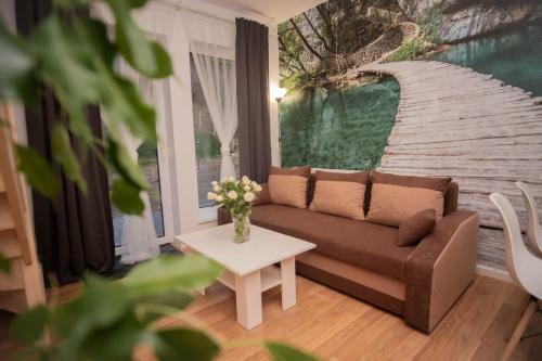 Apartamenty Goszowita