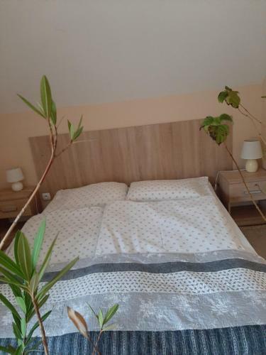Villa G�rski Promyk