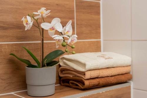 Apartamenty Goszowita