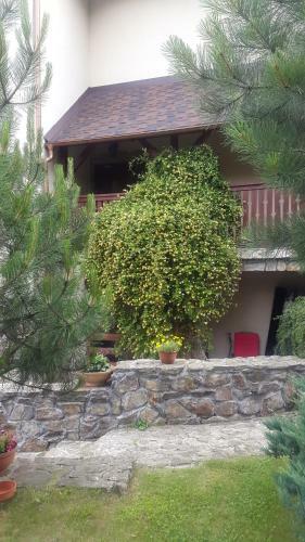 Bed & Breakfast Koliba