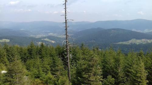 Uroczy Apartament W G�rach