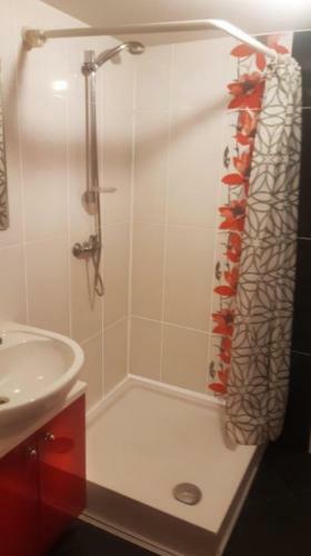 Apartament Stronie ?l?skie