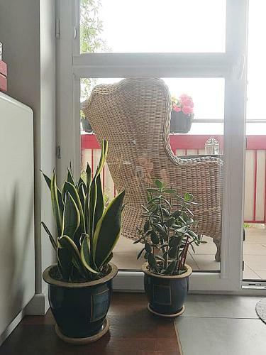 Apartamento Przystanek Suwa?ki
