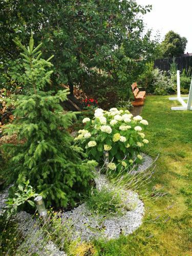 Bed & Breakfast Dom Nad Wigrami