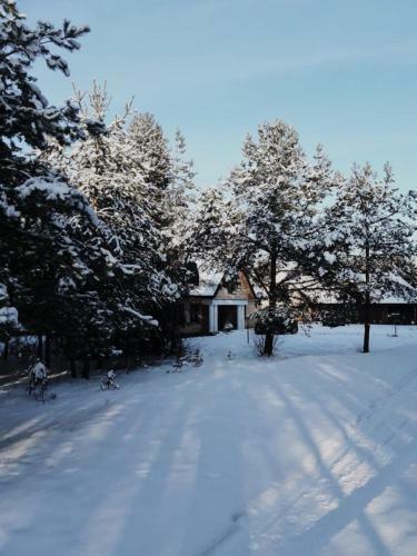 Hostal Lawendowe Siedlisko