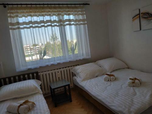 Relax Apartment Suwa?ki
