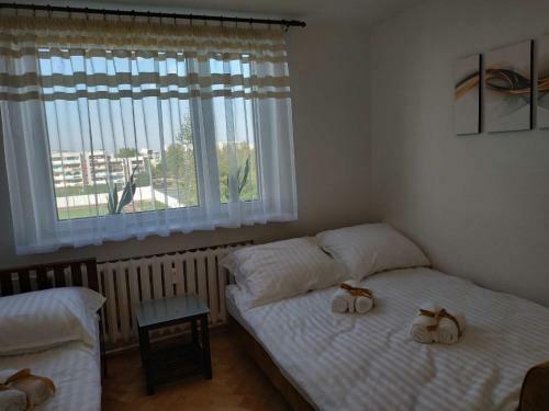 Relax Apartment Suwa?ki