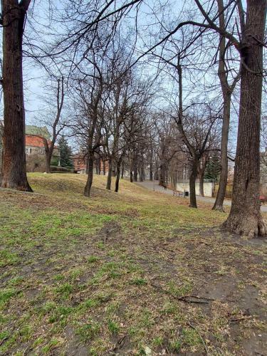 Centrum Apartament Bolka