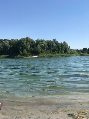 Lodge Domek 6-osobowy Ca?oroczny