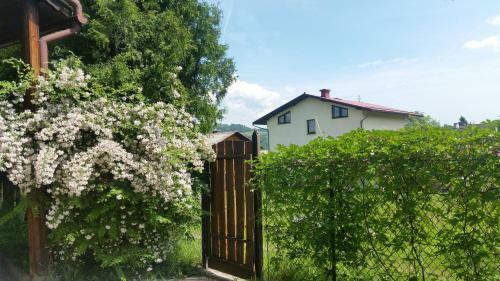 Apartamento ?winna - Brzozowy Zagajnik