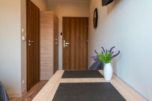 Przy Termach Domki Pokoje Apartamenty