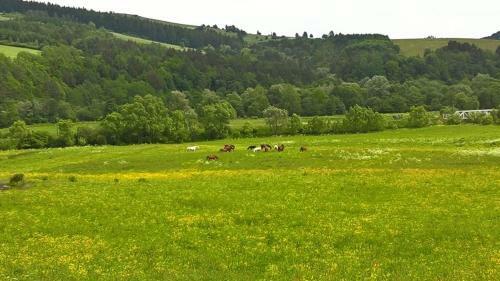 Lodge Komandor�wka
