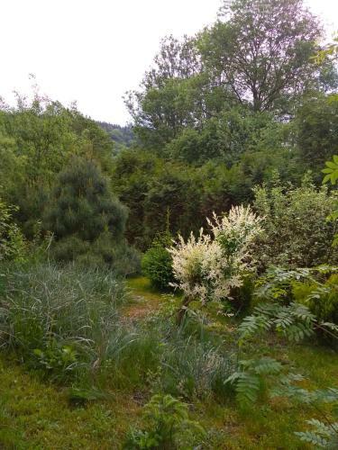 Lodge Komandor�wka