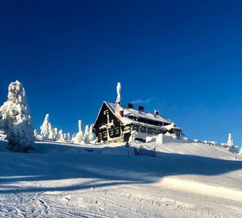 Ski Sun Sea - Rodzinny Apartament Pod Gondol?