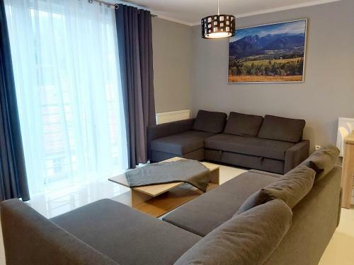 Apartament Wiktoria ?wierad�w Zdr�j