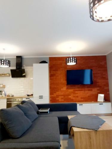 Apartament Wiktoria ?wierad�w Zdr�j