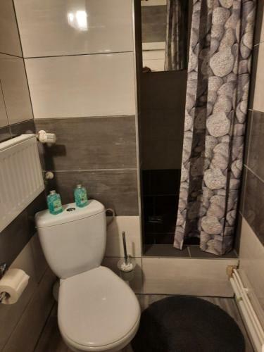 Apartament Zielony Li??