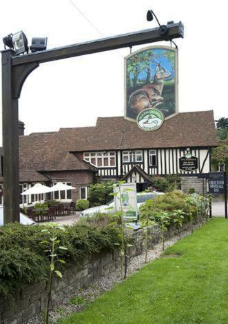 Hotel Roebuck