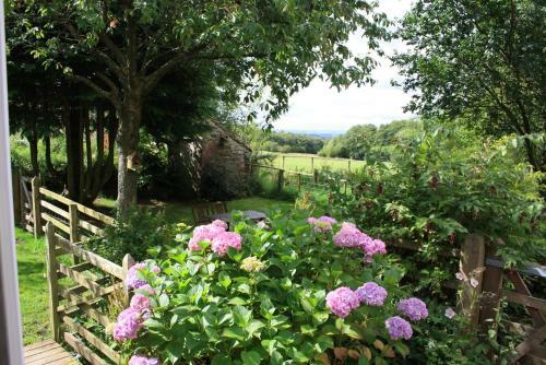 Bed & Breakfast Wallace Lane Farm
