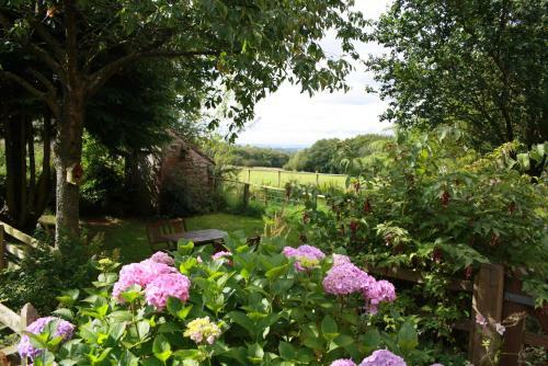 Bed & Breakfast Wallace Lane Farm