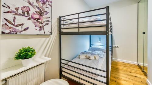 Apartamenty Centrum - Wyszy?skiego 9 - Royal Aparts
