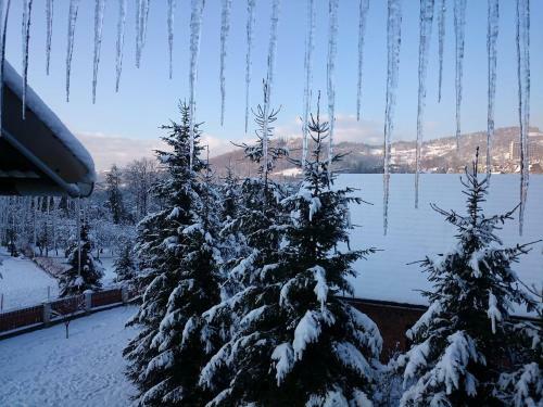 Apartamento Nad Grajcarkiem Pieniny