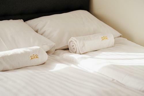 Apartamenty Homole