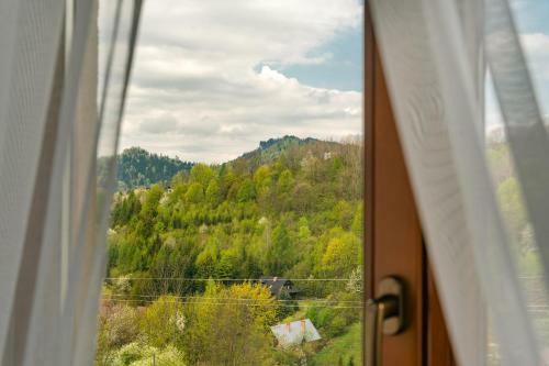 Apartamenty Pod Kosarkami