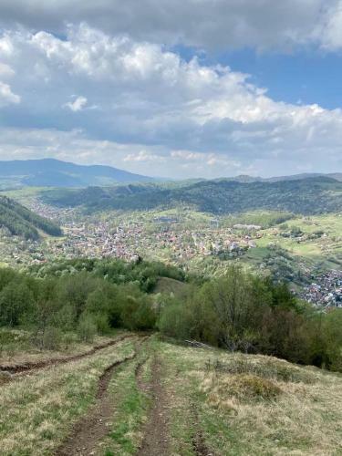 Apartamento Na ?wierkowym Strychu