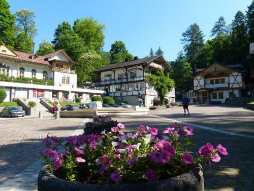 Apartamento Ma?e Pieniny