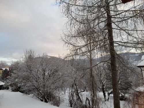 Apartament U Antosia Szczawnica