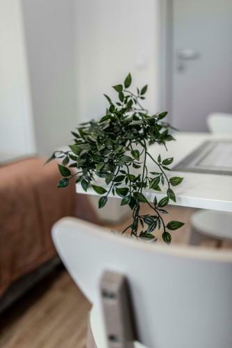 Apartamenty Kwiatowa W Szczawnicy