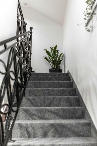 Apartamenty Kwiatowa W Szczawnicy