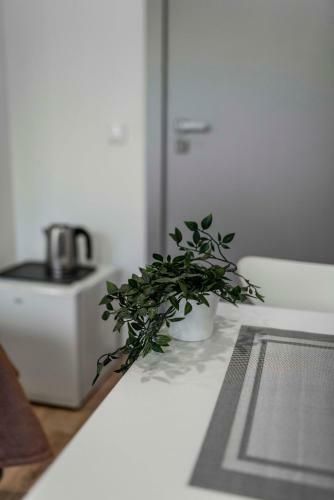 Apartamenty Kwiatowa W Szczawnicy