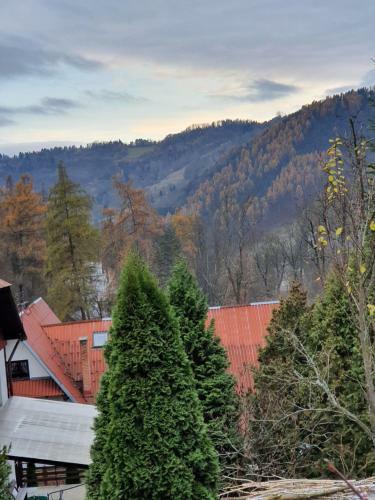Szmaragdowy Apartament