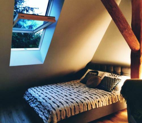 Apartamenty Pieni?skie