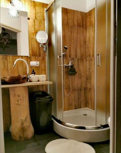 Apartamenty Pieni?skie