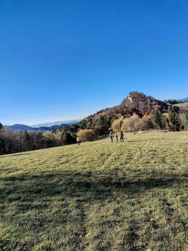 Domek Na Berechu