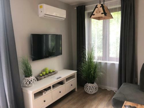 Apartament Homole F1