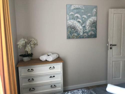 Apartament Homole F1
