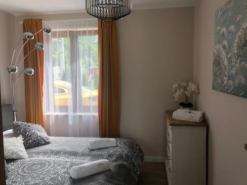 Apartament Homole F1