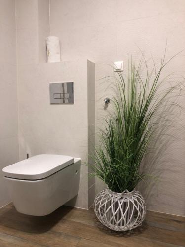 Apartament Homole F1