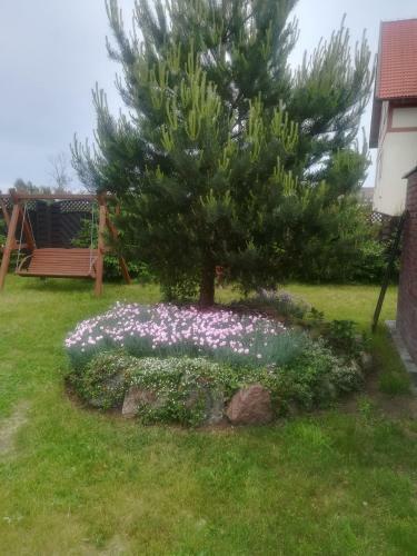 Apartamenty I Domki Mierzeja